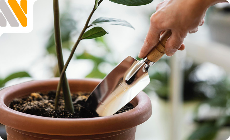 eliminar-gusanos-humedad