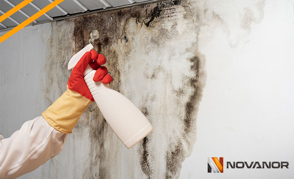 humedades-seguro-hogar