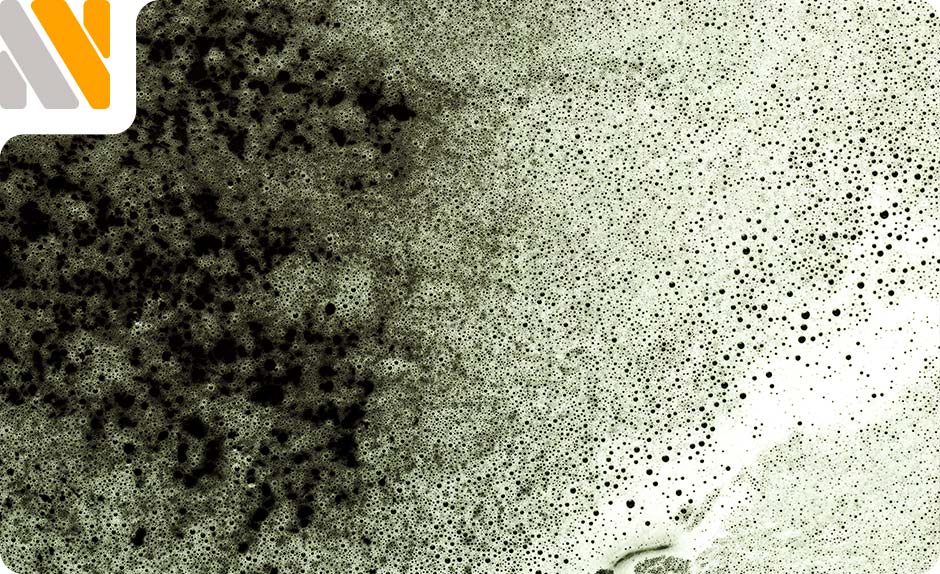 moho-negro