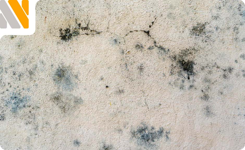 una-humedad-esta-seca