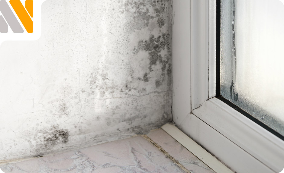 como-saber-si-humedad-esta-seca-