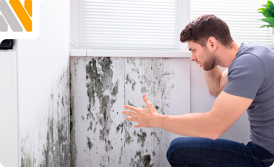 prevenir-humedades-en-climas-humedos