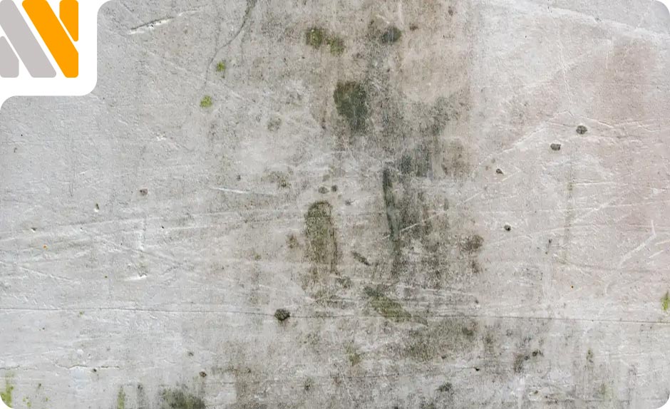 tratamiento-humedades-viviendas