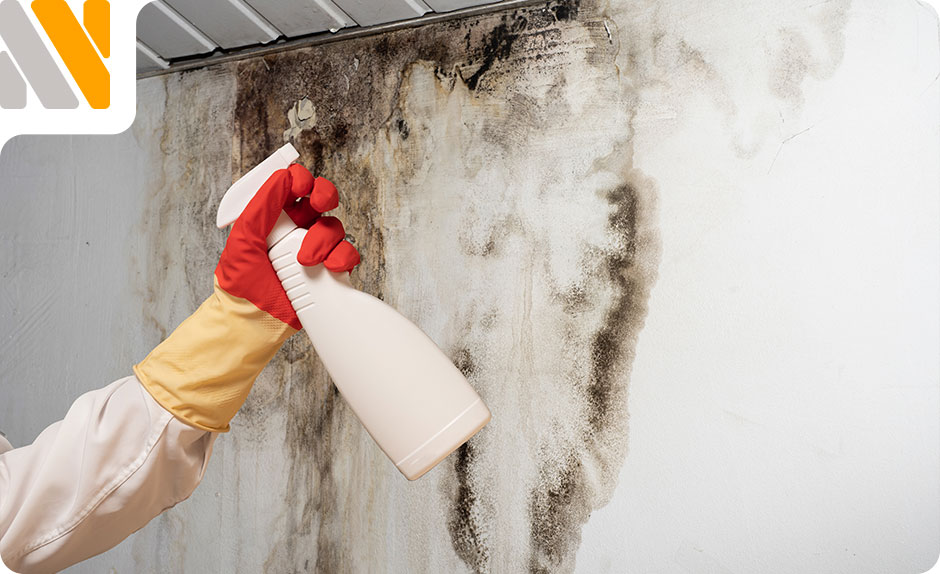 detectar-humedad-en-techo