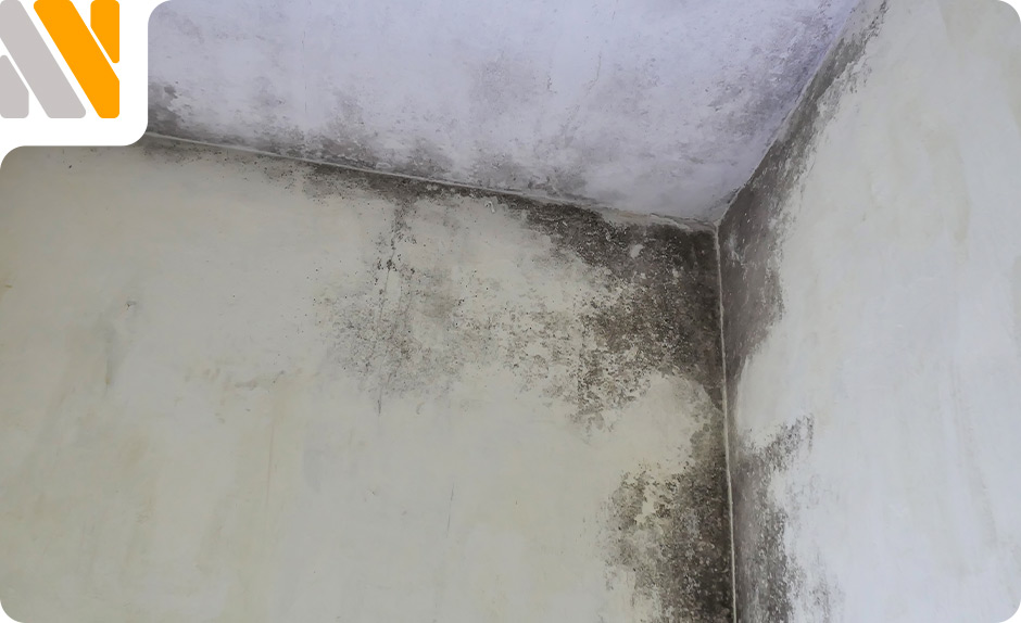 detectar-humedades-techos