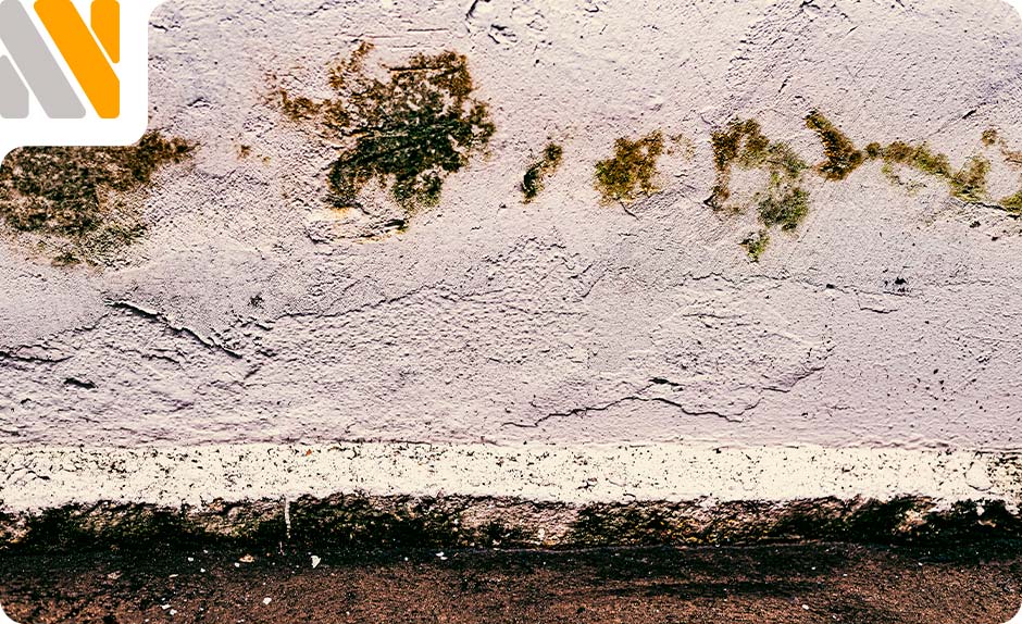 humedad-recomendable-en-casa