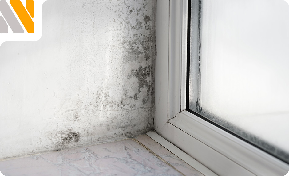 artrosis-y-humedades