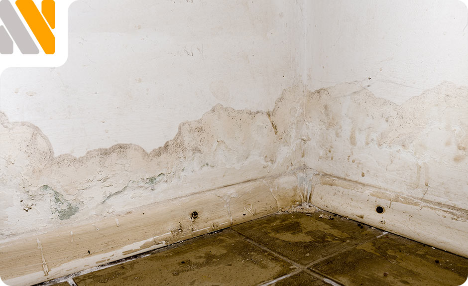 daños-estructurales-por-humedades