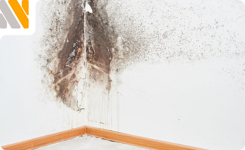 humedad-en-casa-problemas