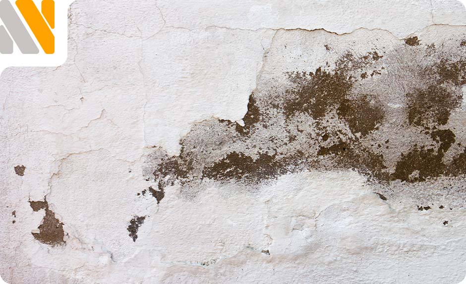 humedades-casa-de-pueblo