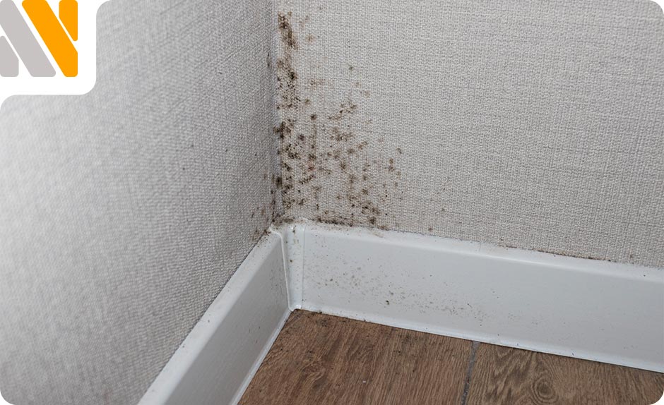 problemas-de-humedad