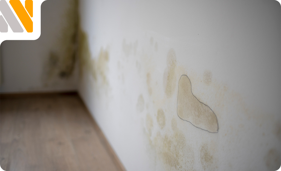 humedad-en-el-suelo-de-casa