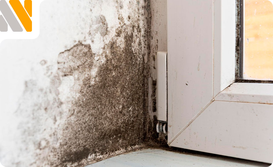 humedad-en-paredes