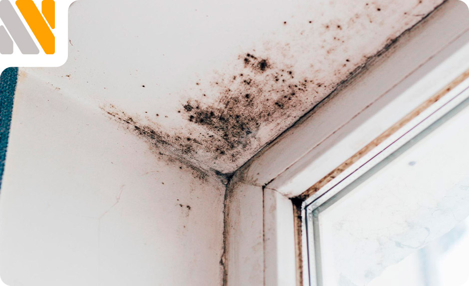 humedades-en-paredes-interiores
