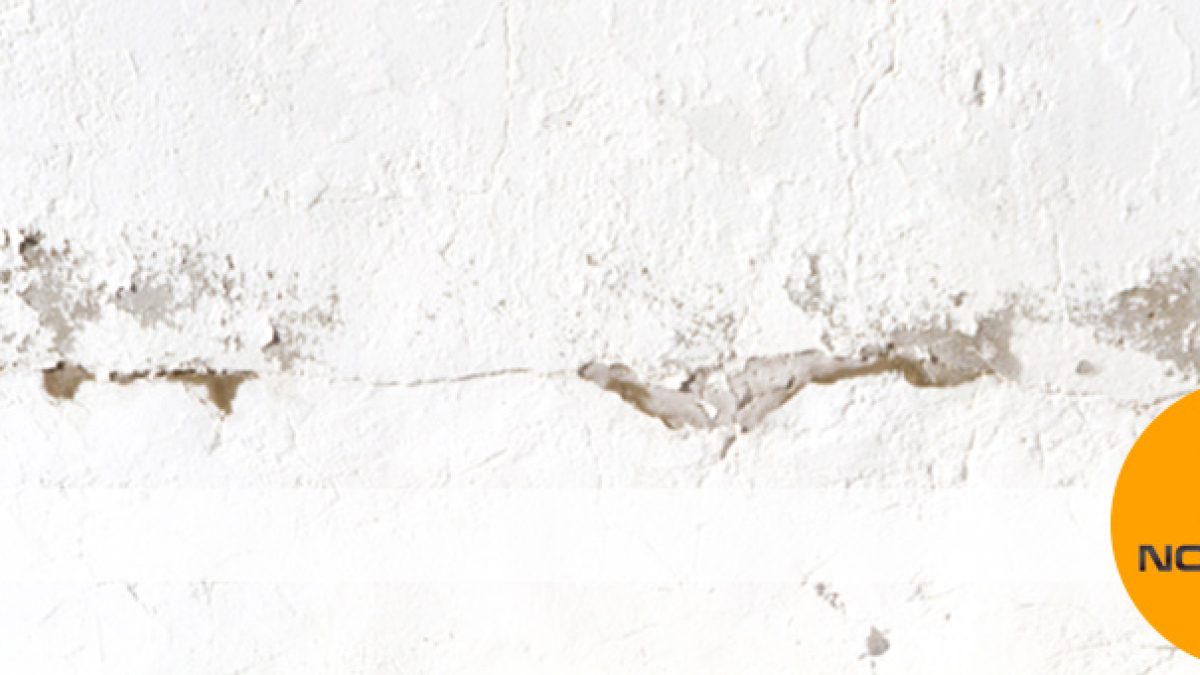 Cómo eliminar moho blanco de las paredes?