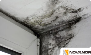 detectar-humedades-en-techos