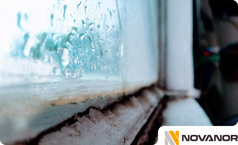 quitar-humedad-trastero