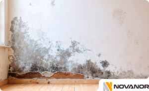 humedades-en-paredes-2